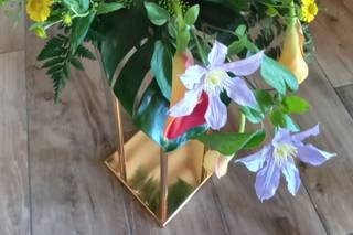 Cosmos politaine - 5