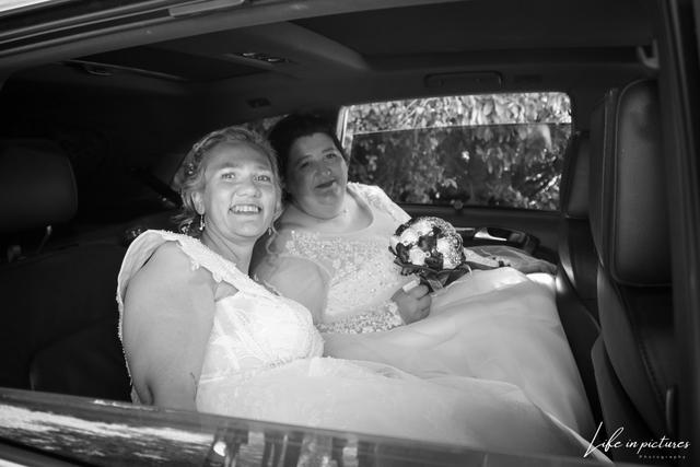Life In Pictures - Emilie Cuvelier - 1