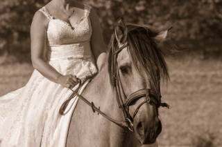 Alain Mas Photographie - 7