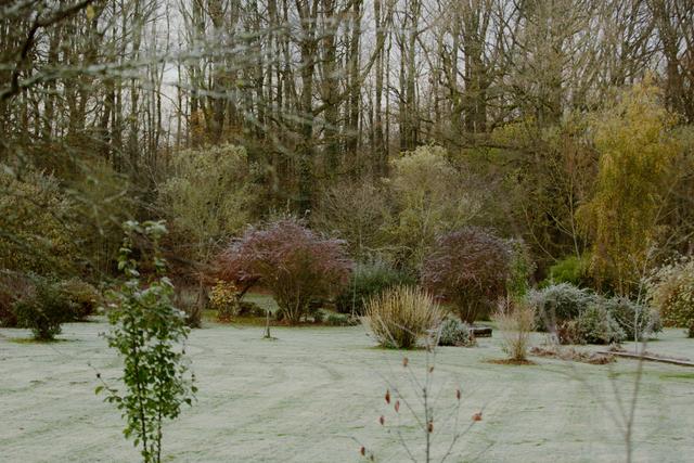 Le Domaine de Montireau - 4