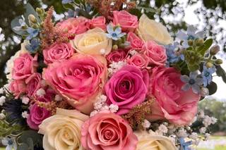 Daylight Flower - 11