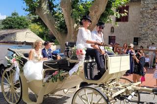 Provence-Caleche-Tradition - 11