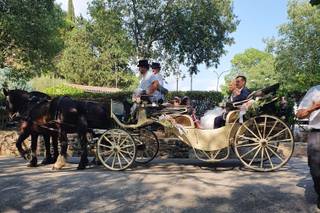 Provence-Caleche-Tradition - 12