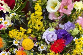 Le bois des roses - 5