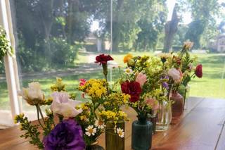 Le bois des roses - 7