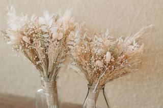 Lily and Confettis - 28