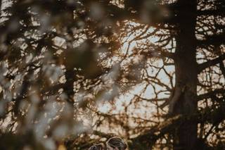Julie Gareni Photographies - 12
