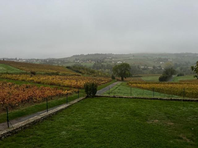Domaine des Sources - 1