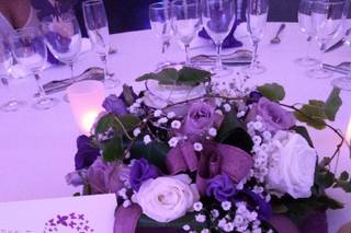 Histoire de Fleurs Tarbes - 9