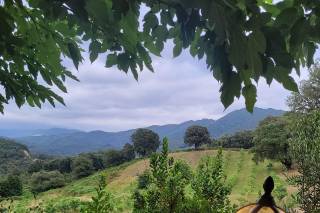 Domaine Cappa - 14