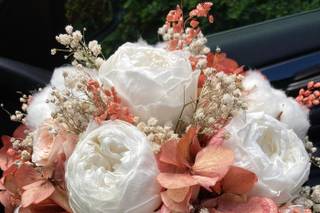 Jolie Rose - 8