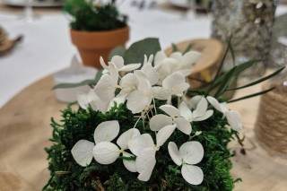 Le jardin des immortelles - 12