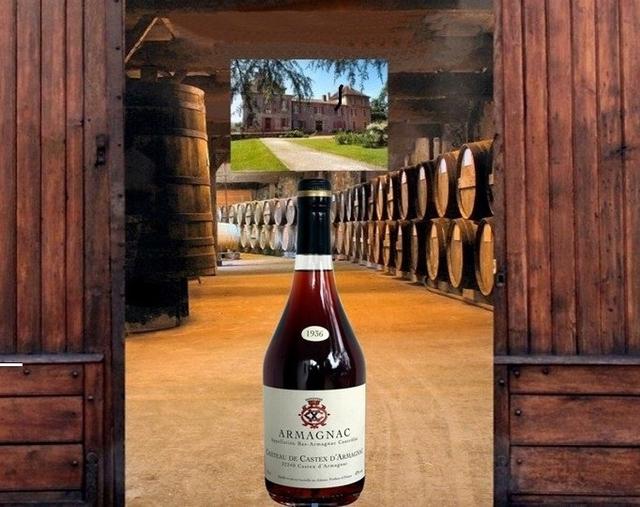 Château de Castex d’Armagnac - 1