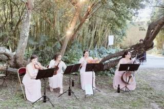 Quatuor en Cévennes - 5