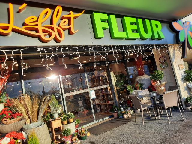 L'effet Fleur - 4