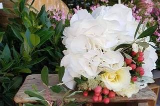 Jardin & Bagatelles - 22