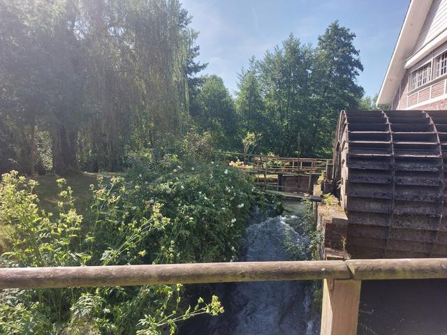 Moulin de Plachy - 3