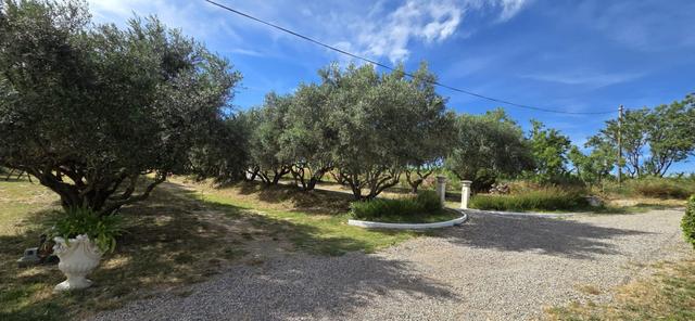 Domaine des Hautes Vignes - 3