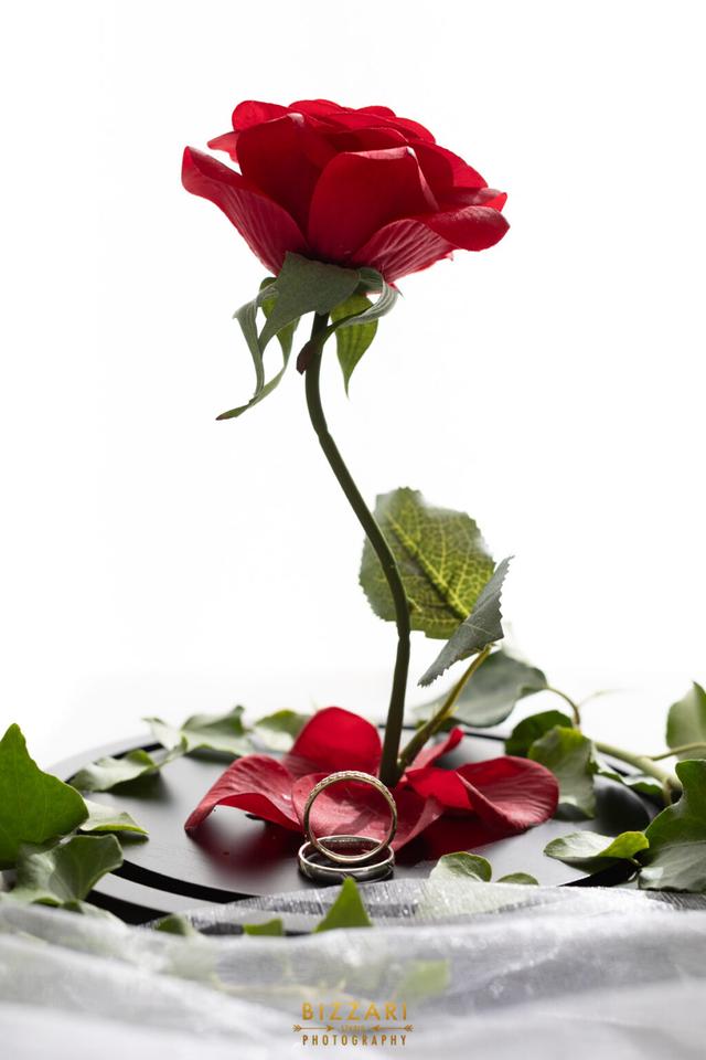 Bizzari Photography - 2