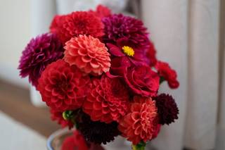Mademoiselle Coquelicot - 24