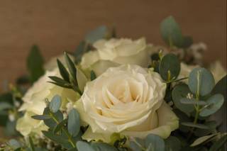 Deco Events - 12