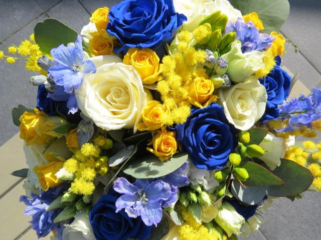 Tyli's Feurs - 3