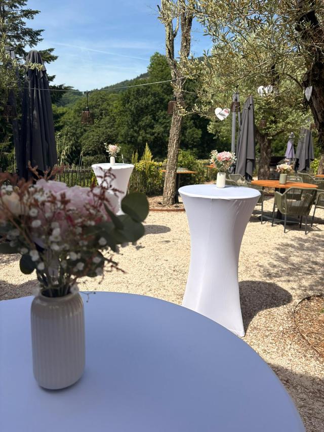 Château de Villars - 4