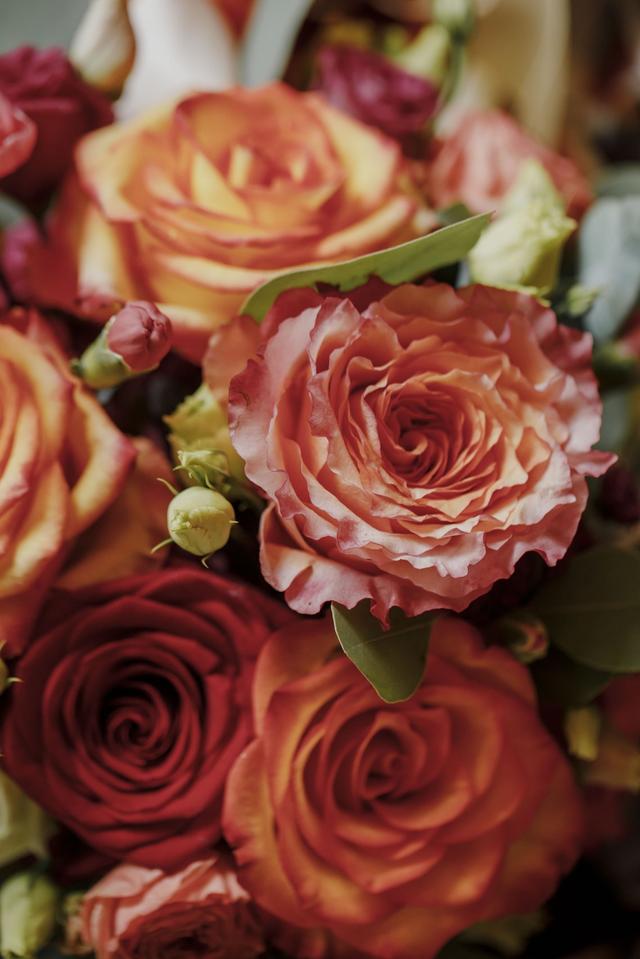 Le Chêne & la Rose - 2