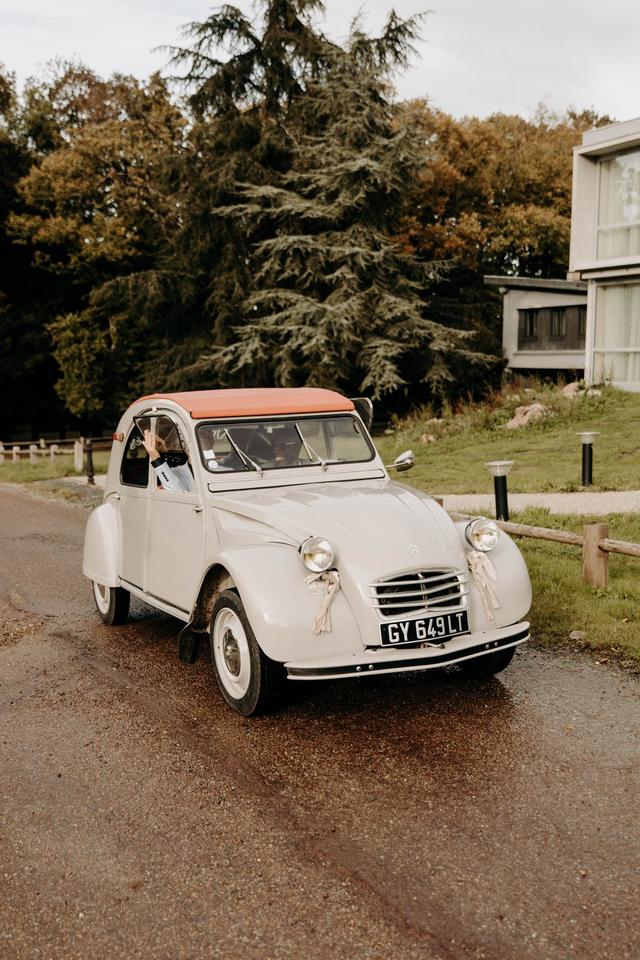 Alo Retro - 2