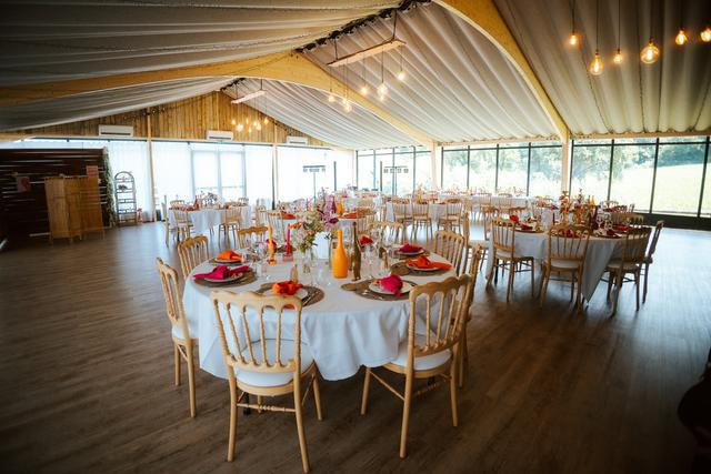 Chlo's Events - 4