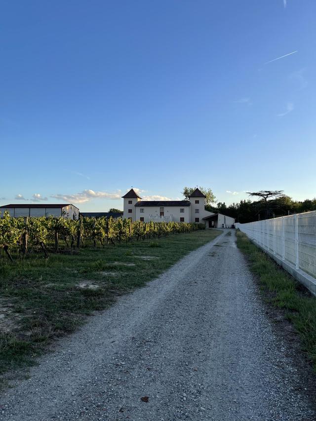 Vignoble Cassin - 2
