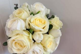 L'Histoire d'une fleur - 6