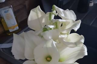 Claire Fleurs - 5