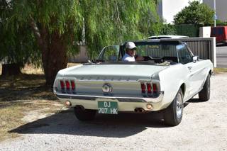 Mustangcab - 22