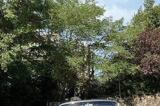 Renault Caravelle - 5