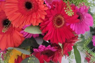 Aux Secrets des Fleurs - 5