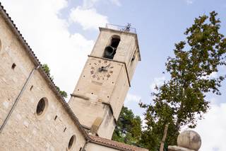 Thomas Ardito Photographe - 11