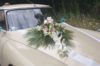 Les Fleurs de Saint-Michel - 7