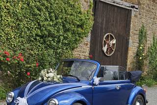 Cox cabriolet du 35 - 6