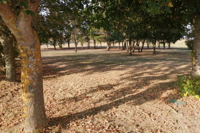 Domaine Lagrange 4
