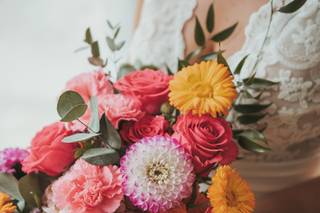 Trifolium - 5
