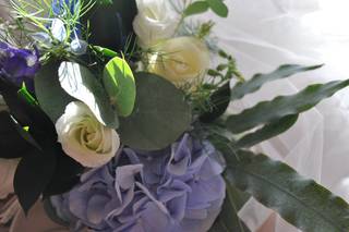 Cactus & Lilas - 9