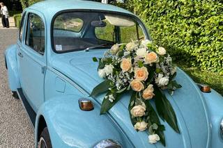 Canojali Events - 5
