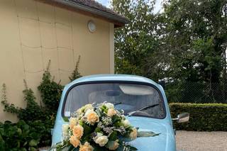 Canojali Events - 6