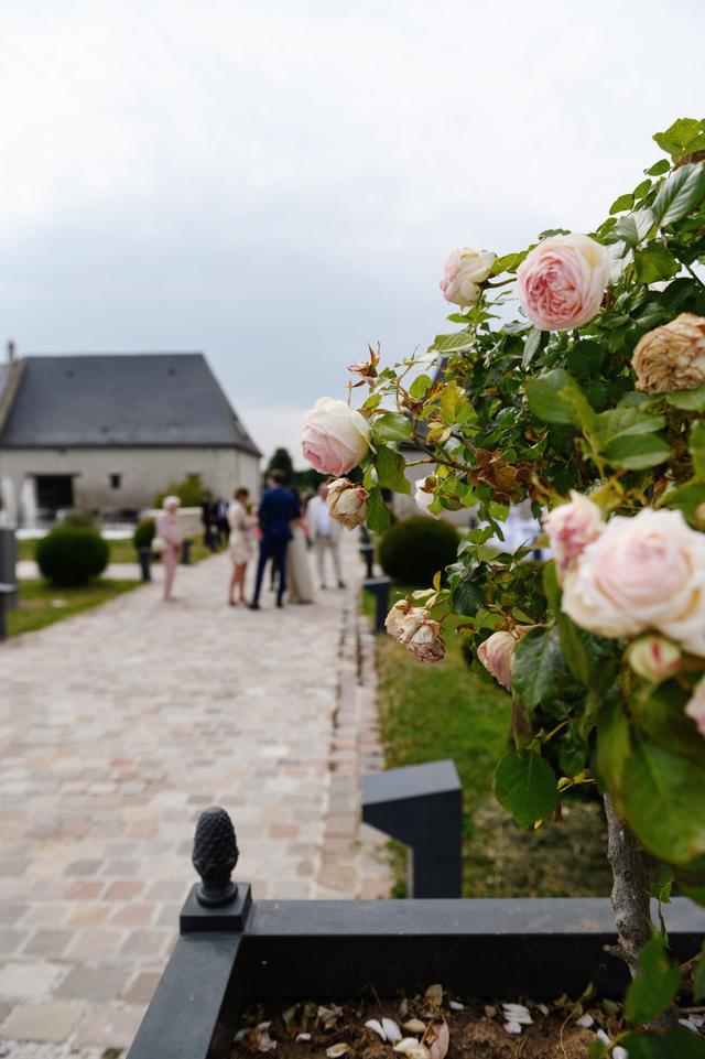 Domaine de Thais - 1