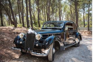 Dandy's Cars - 9