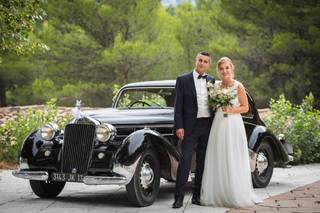Dandy's Cars - 10