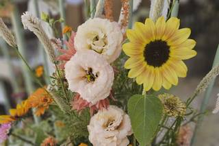 Les Fleurs du Grillon - 6