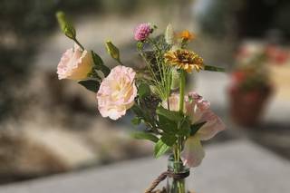 Les Fleurs du Grillon - 7