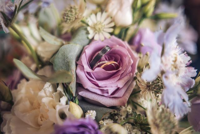 Juliette Laure Photographie - 3